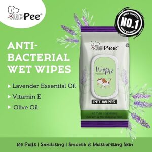 Pet Wipes (Pack of 48 Pcs)